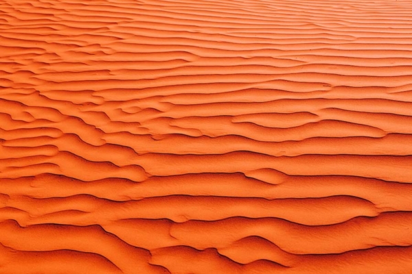 Orange sand background